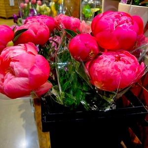 Meet your Posher, Sheila